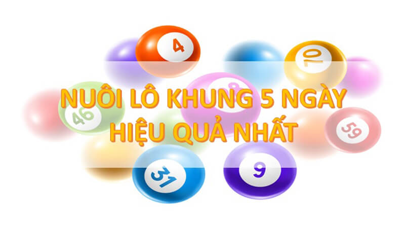 Cách vào tiền để nuôi lô cặp 5 ngày chuẩn xác ăn 100%